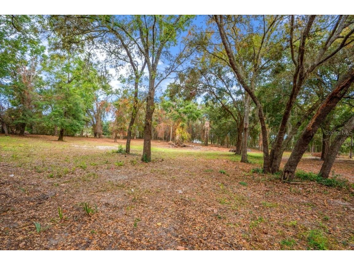 Se Hwy 42 Summerfield Fl 34491 Summerfield FL 34491 O6367218 image1