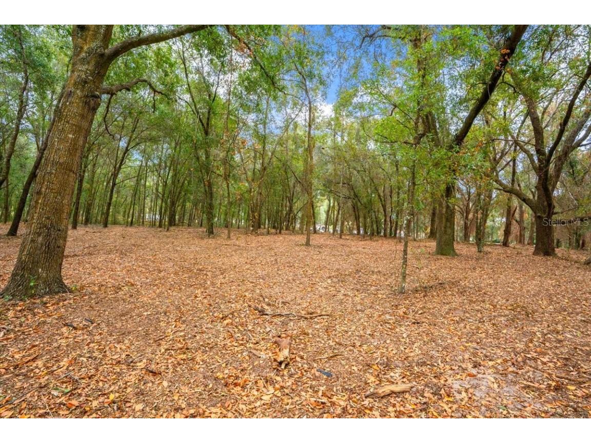 Se Hwy 42 Summerfield Fl 34491 Summerfield FL 34491 O6367218 image11