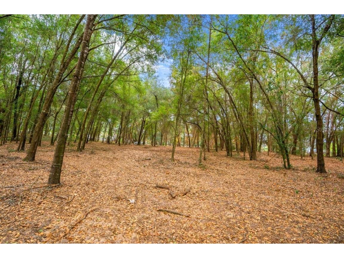 Se Hwy 42 Summerfield Fl 34491 Summerfield FL 34491 O6367218 image12