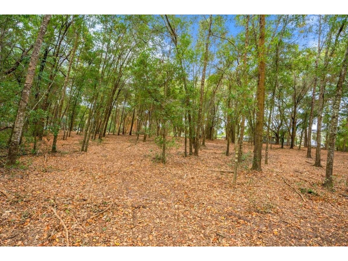 Se Hwy 42 Summerfield Fl 34491 Summerfield FL 34491 O6367218 image13