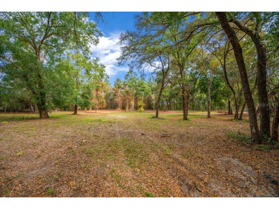 Se Hwy 42 Summerfield Fl 34491 Summerfield FL 34491 O6367218 image14