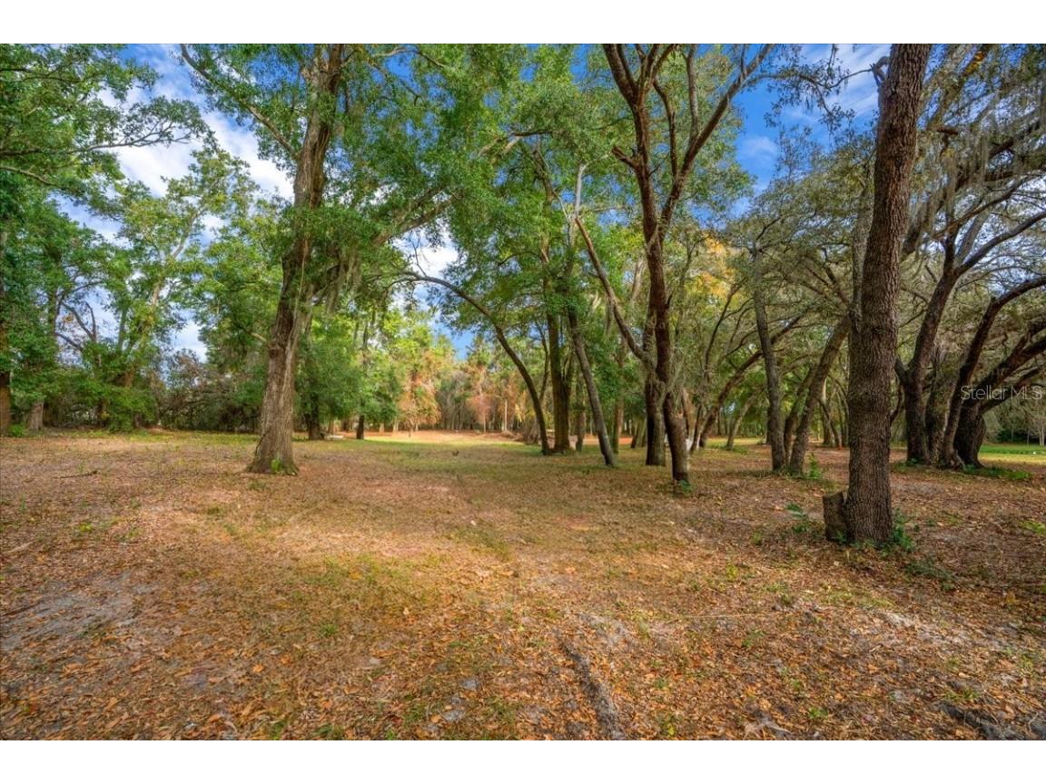 Se Hwy 42 Summerfield Fl 34491 Summerfield FL 34491 O6367218 image15