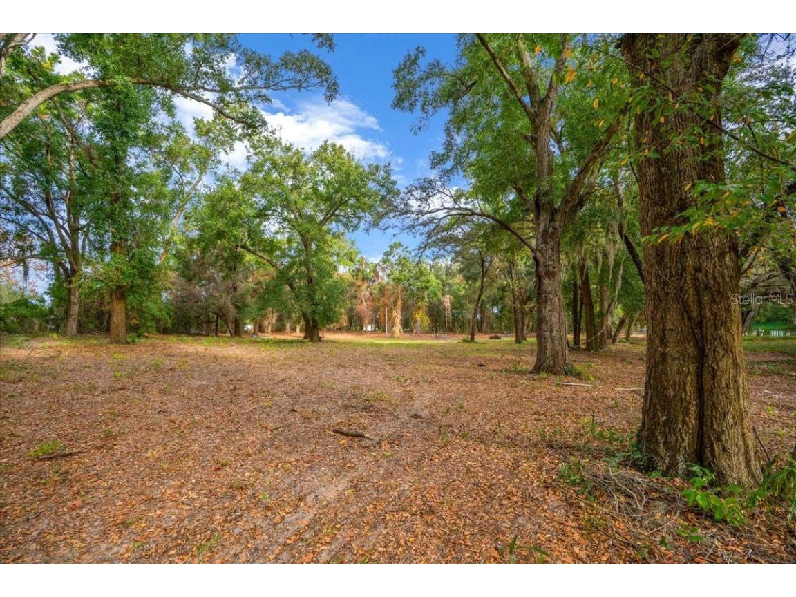 Se Hwy 42 Summerfield Fl 34491 Summerfield FL 34491 O6367218 image16