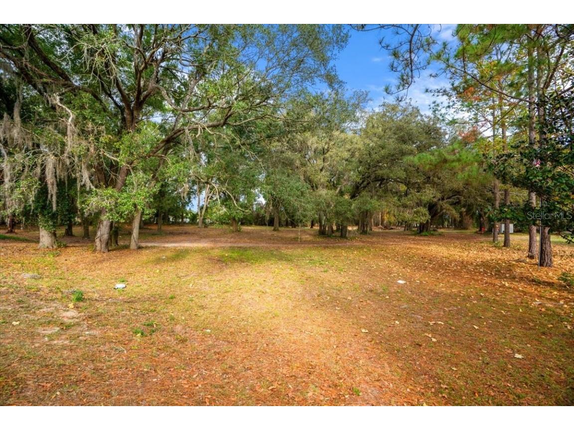 Se Hwy 42 Summerfield Fl 34491 Summerfield FL 34491 O6367218 image17