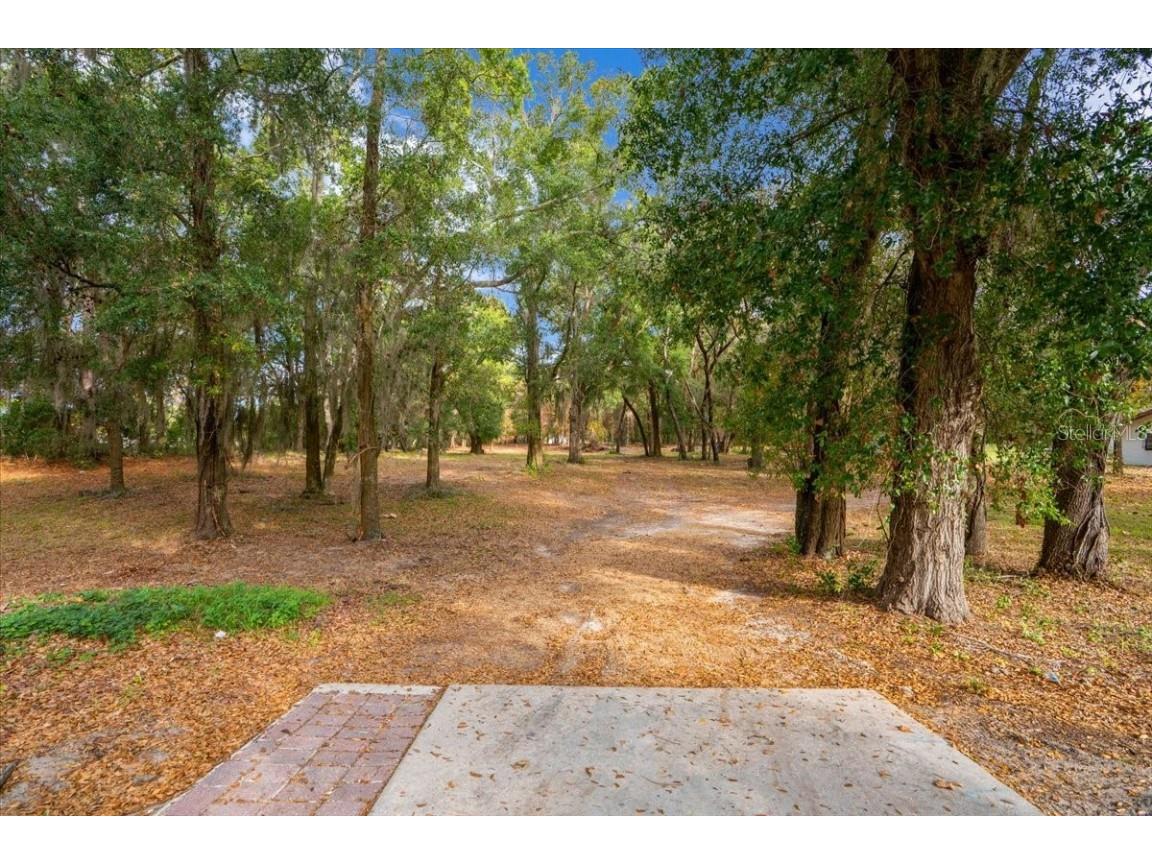 Se Hwy 42 Summerfield Fl 34491 Summerfield FL 34491 O6367218 image18