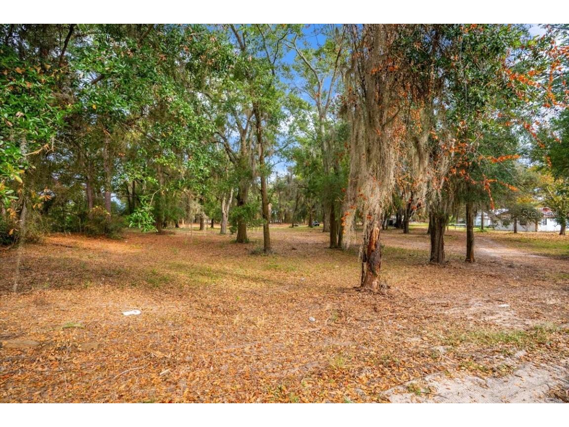 Se Hwy 42 Summerfield Fl 34491 Summerfield FL 34491 O6367218 image19