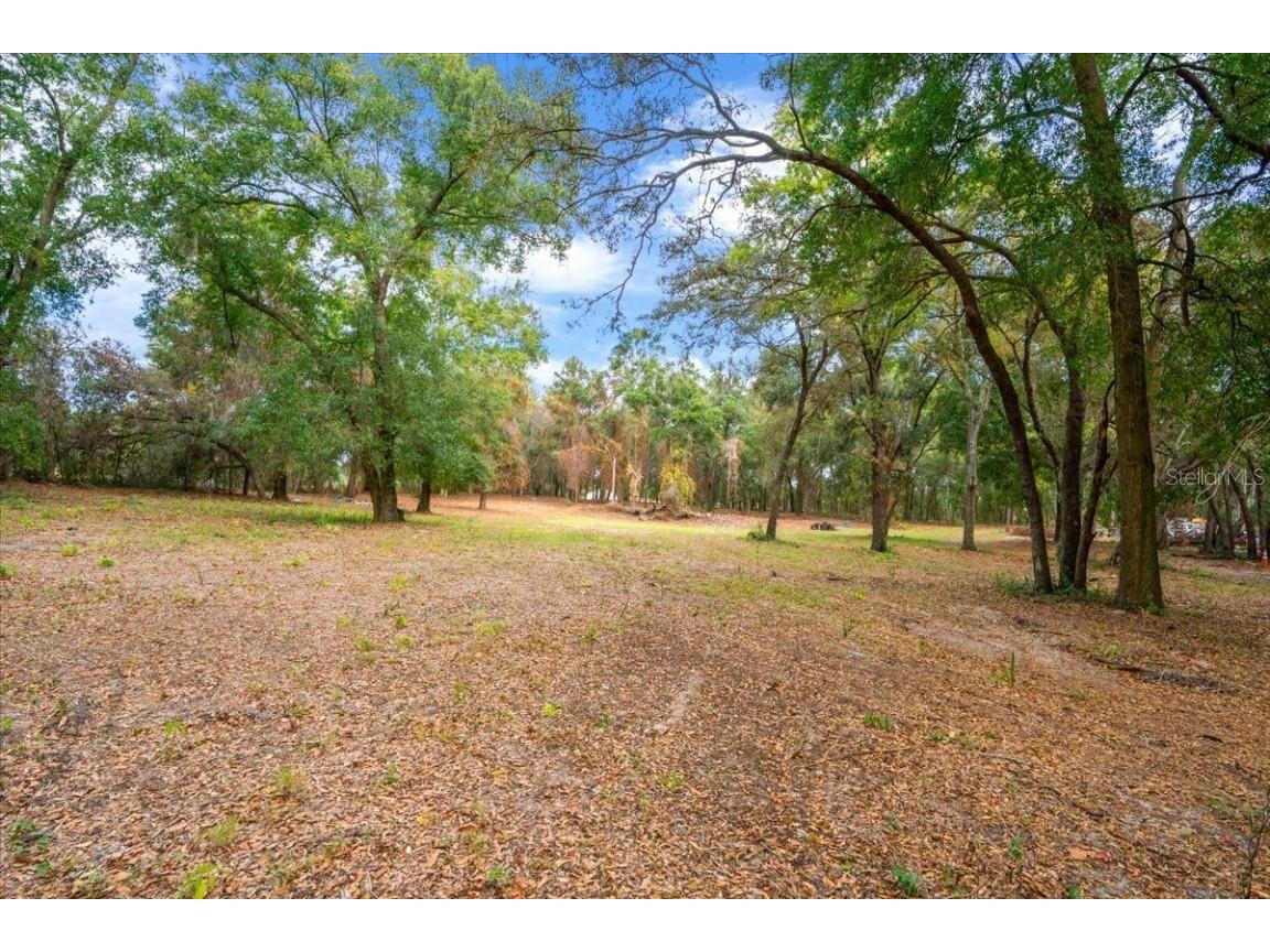 Se Hwy 42 Summerfield Fl 34491 Summerfield FL 34491 O6367218 image2