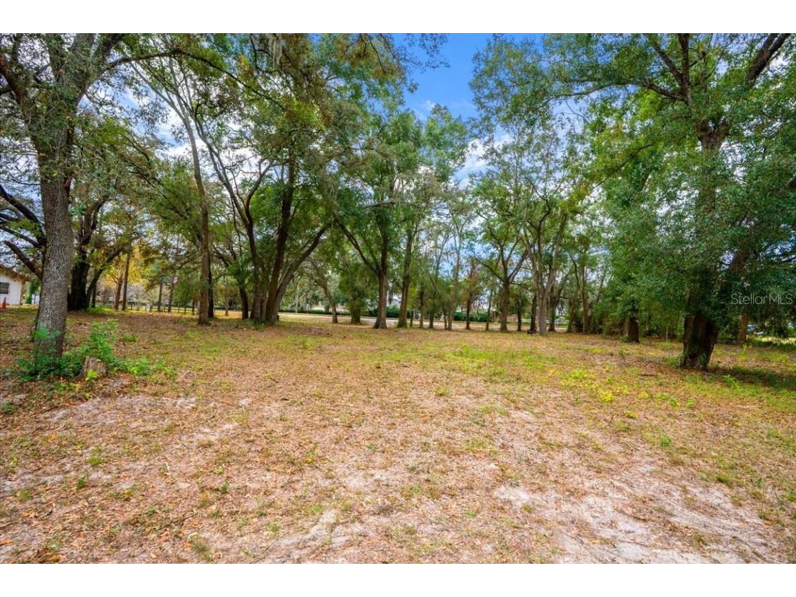 Se Hwy 42 Summerfield Fl 34491 Summerfield FL 34491 O6367218 image3