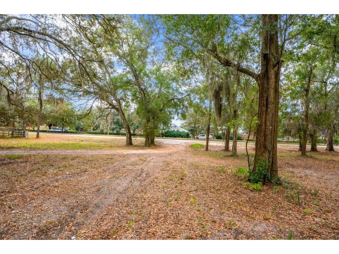 Se Hwy 42 Summerfield Fl 34491 Summerfield FL 34491 O6367218 image4