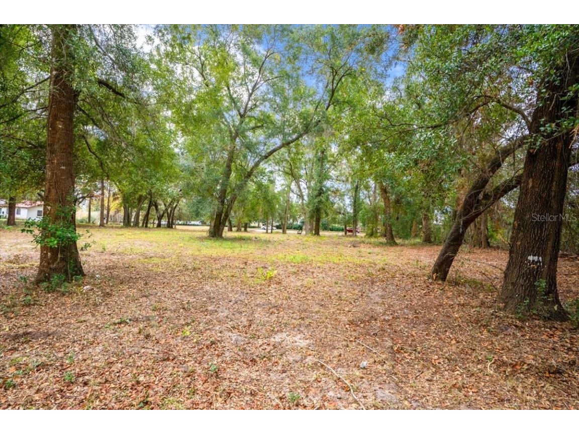 Se Hwy 42 Summerfield Fl 34491 Summerfield FL 34491 O6367218 image5