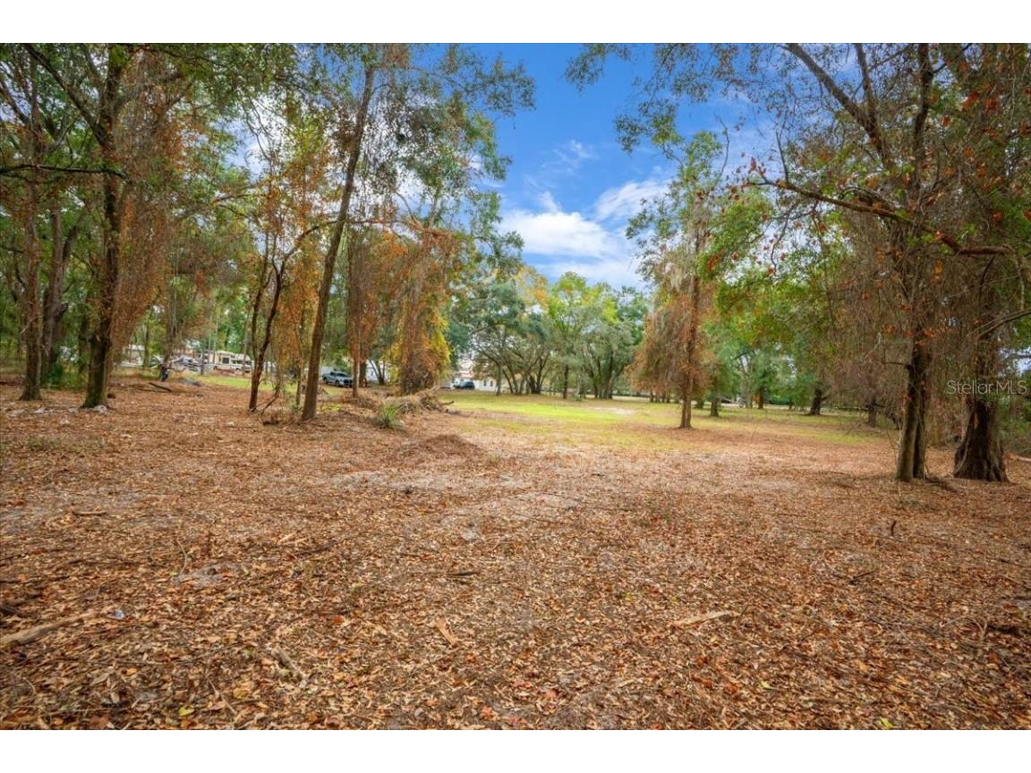 Se Hwy 42 Summerfield Fl 34491 Summerfield FL 34491 O6367218 image8