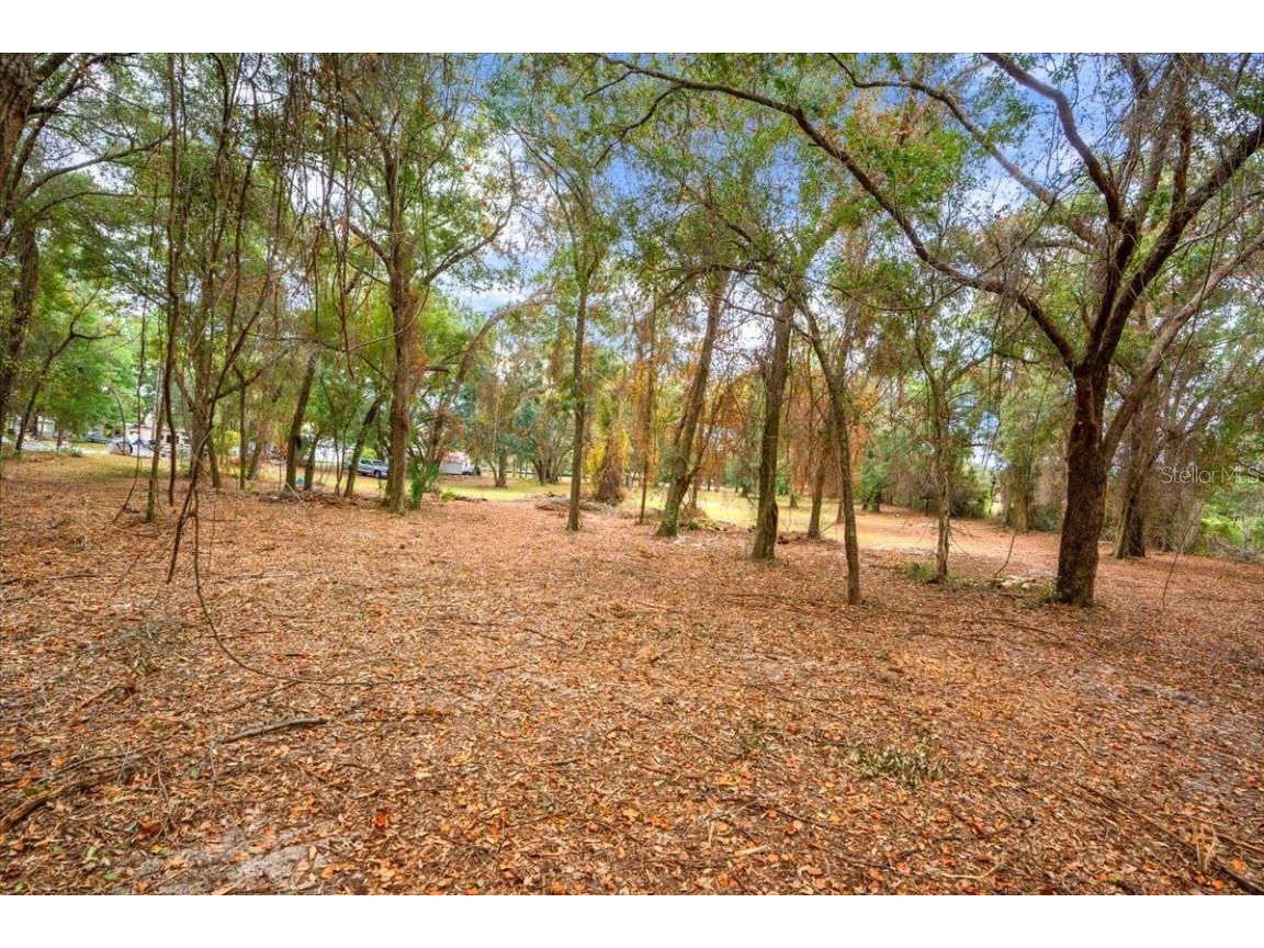 Se Hwy 42 Summerfield Fl 34491 Summerfield FL 34491 O6367218 image9