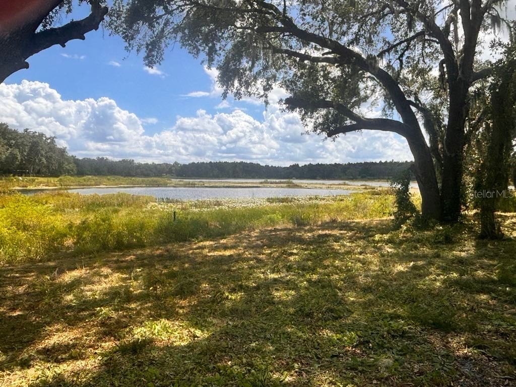 SE Hwy 42 Weirsdale FL 32195 W7868099 image1