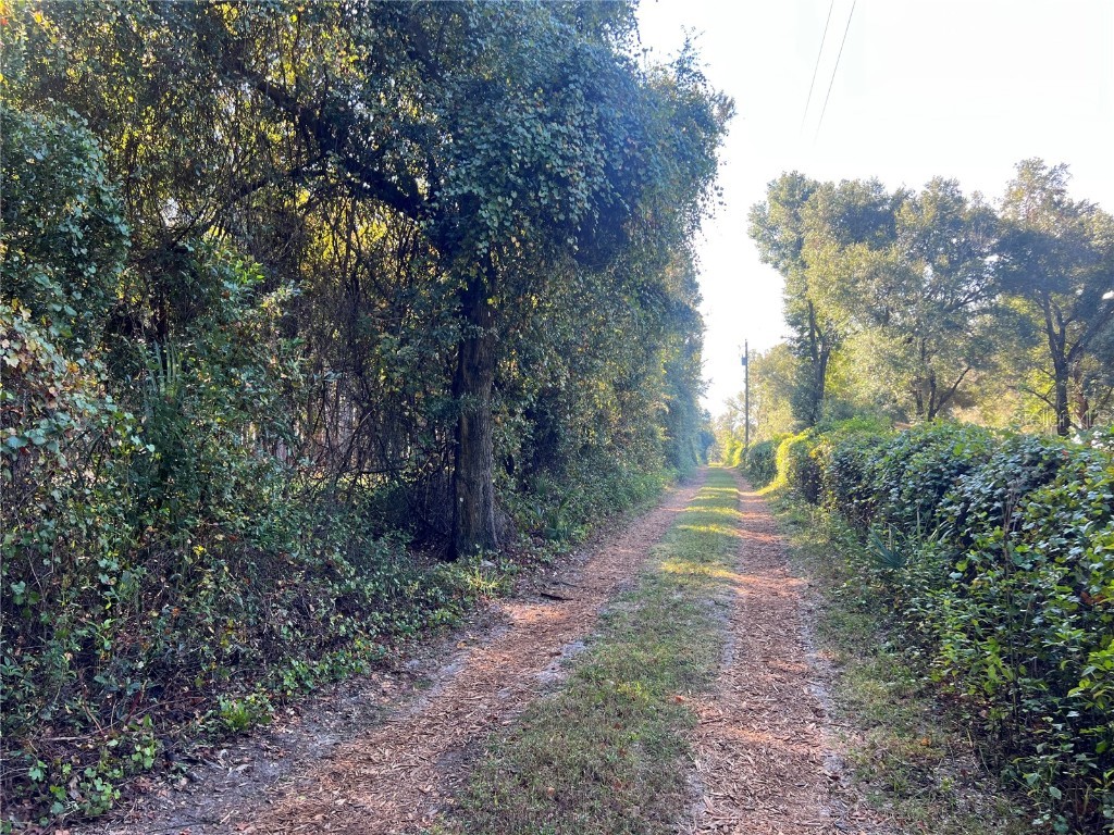 Se Hwy 450 Umatilla FL 32784 G5062049 image1