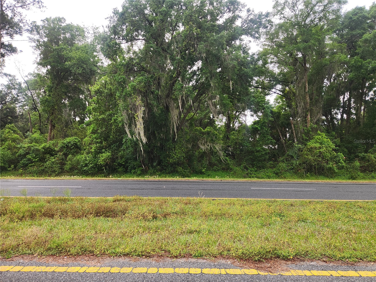 SE Hwy 484 Summerfield FL 34491 OM722278 image1