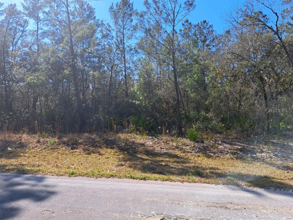 SE Malauka Pass Crse Ocklawaha FL 32179 OM673674 image1