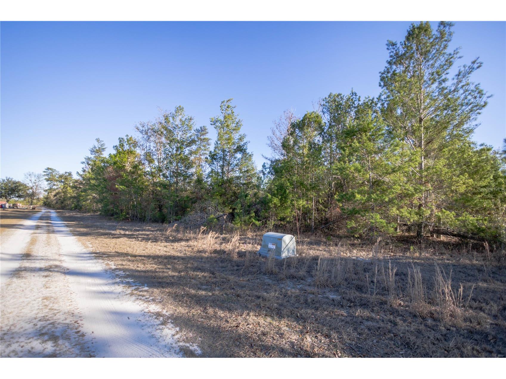 Se Rogers Sink Road Madison FL 32340 OM717679 image4