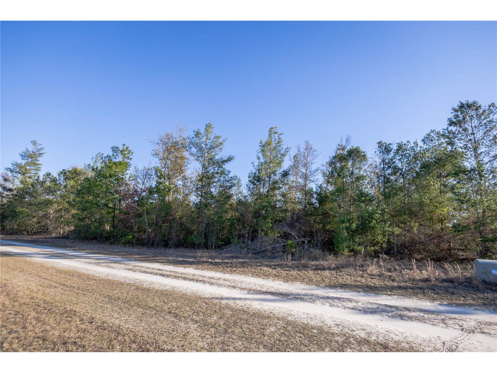 Se Rogers Sink Road Madison FL 32340 OM717679 image6