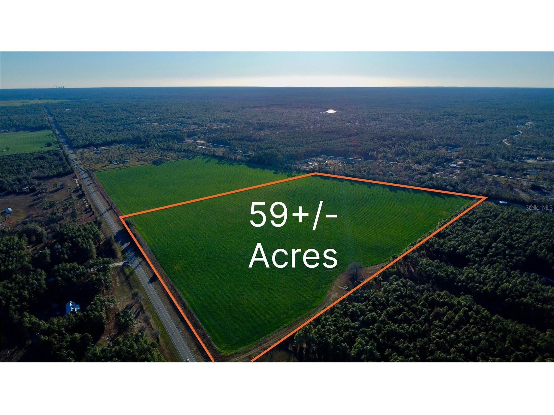 SE St Rd 121 Morriston FL 32668 OM716867 image1