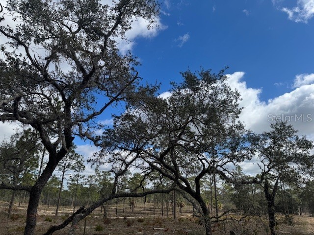 SE State Road 121 Lot A & B Morriston FL 32668 OM695500 image13