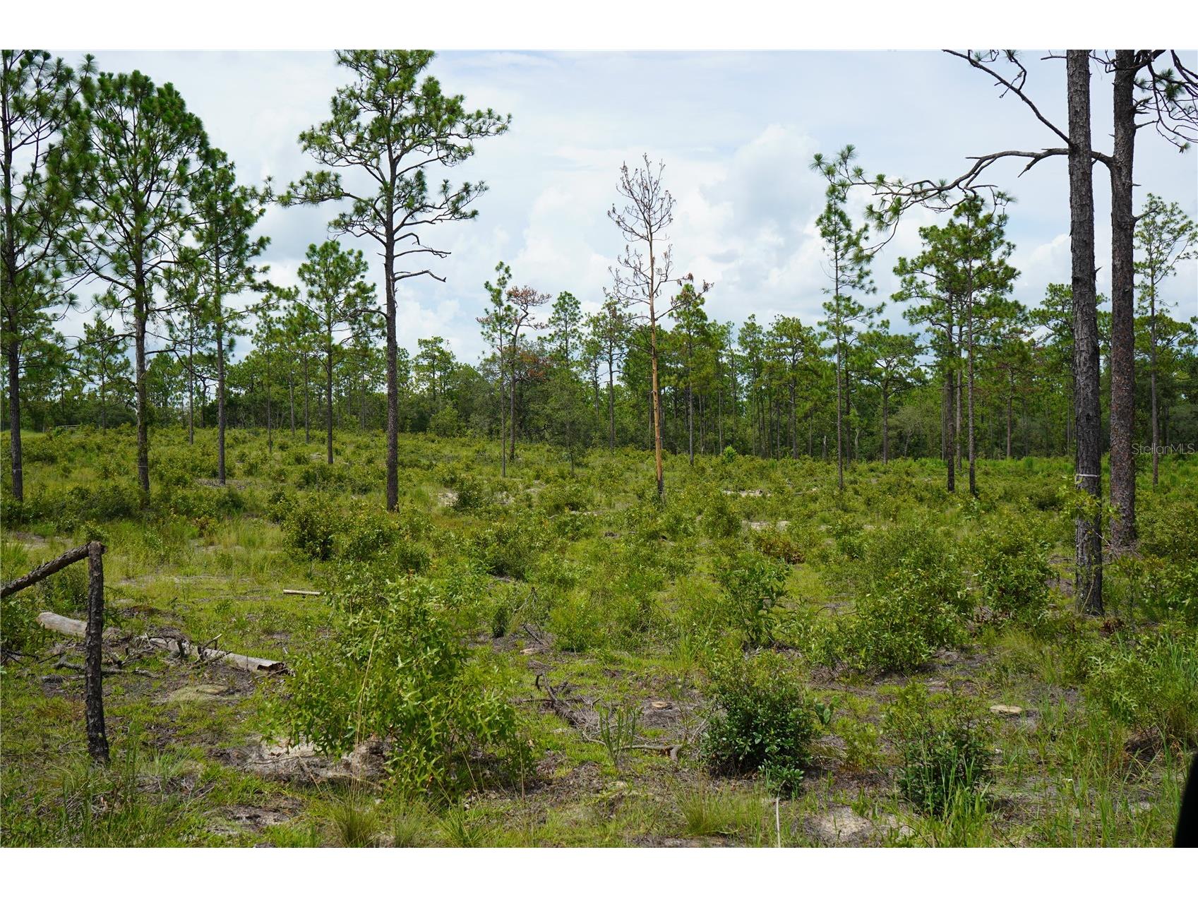 SE State Road 121 Lot A & B Morriston FL 32668 OM695500 image14