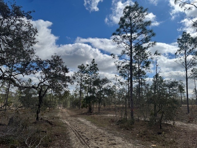 SE State Road 121 Lot A & B Morriston FL 32668 OM695500 image15
