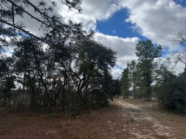 SE State Road 121 Lot A & B Morriston FL 32668 OM695500 image8