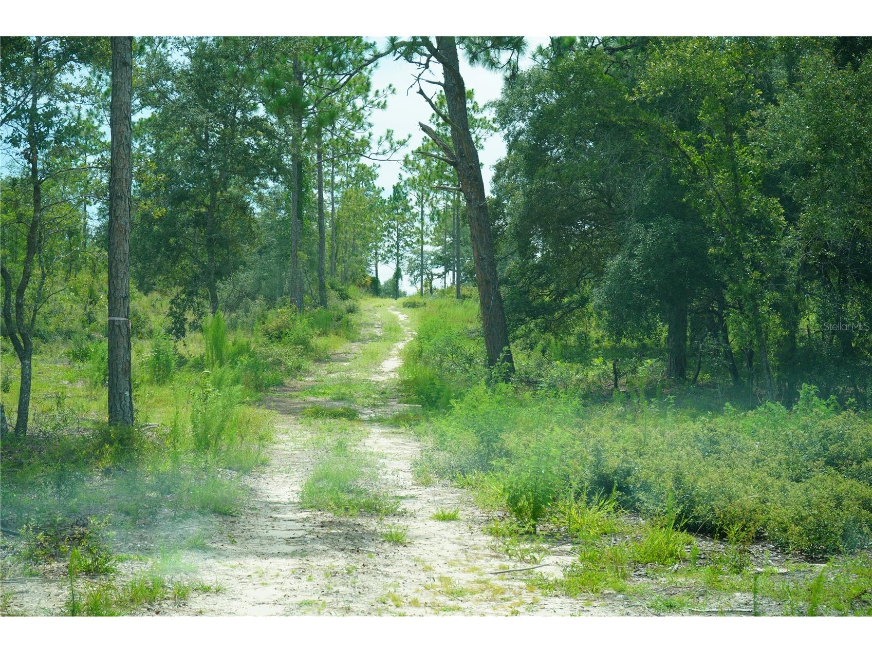 SE State Road 121 Lot C & D Morriston FL 32668 OM695504 image20