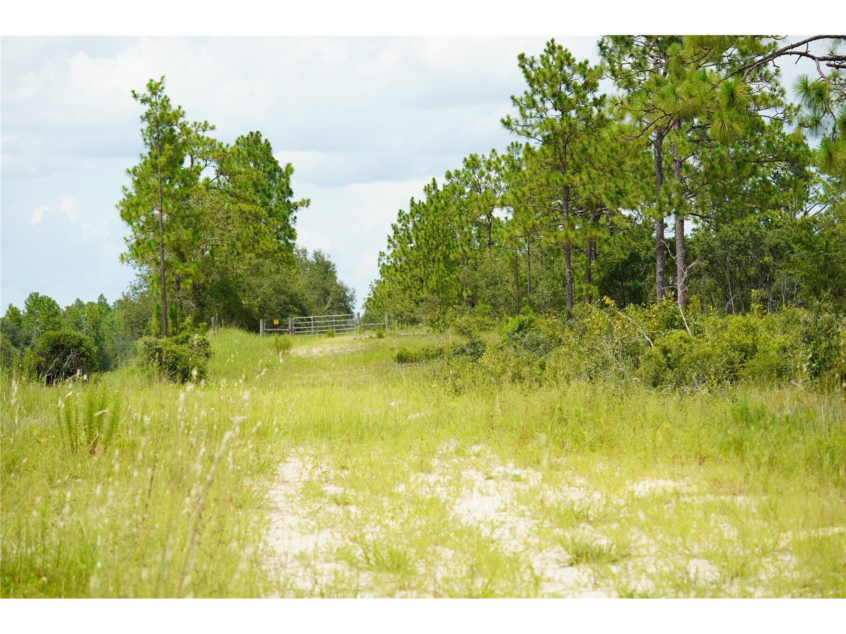 SE State Road 121 Lot C & D Morriston FL 32668 OM695504 image4