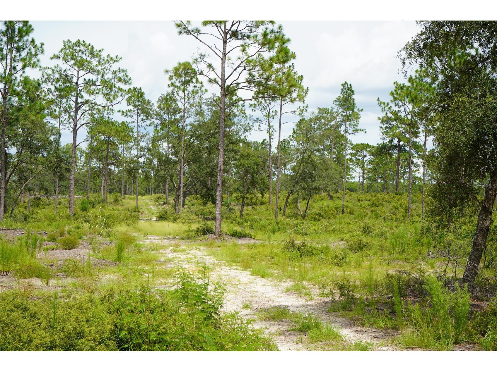 SE State Road 121 Lot C & D Morriston FL 32668 OM695504 image9
