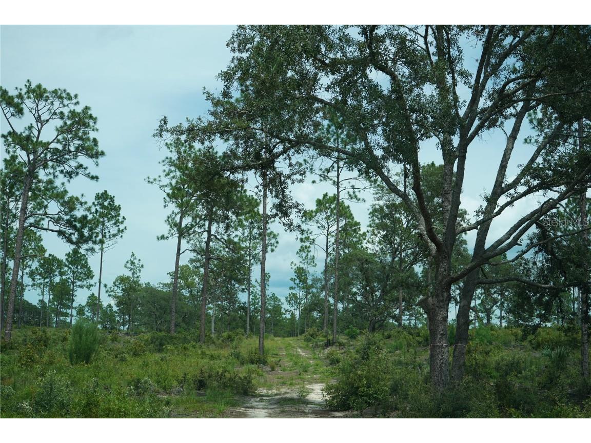 SE State Road 121 Lot D Morriston FL 32668 OM695502 image12