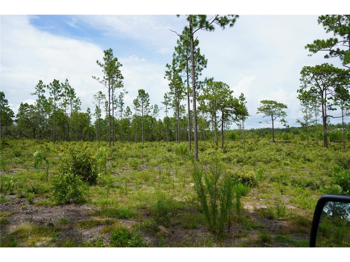 SE State Road 121 Lot D Morriston FL 32668 OM695502 image15