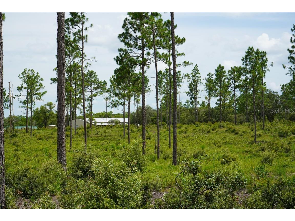 SE State Road 121 Lot D Morriston FL 32668 OM695502 image17