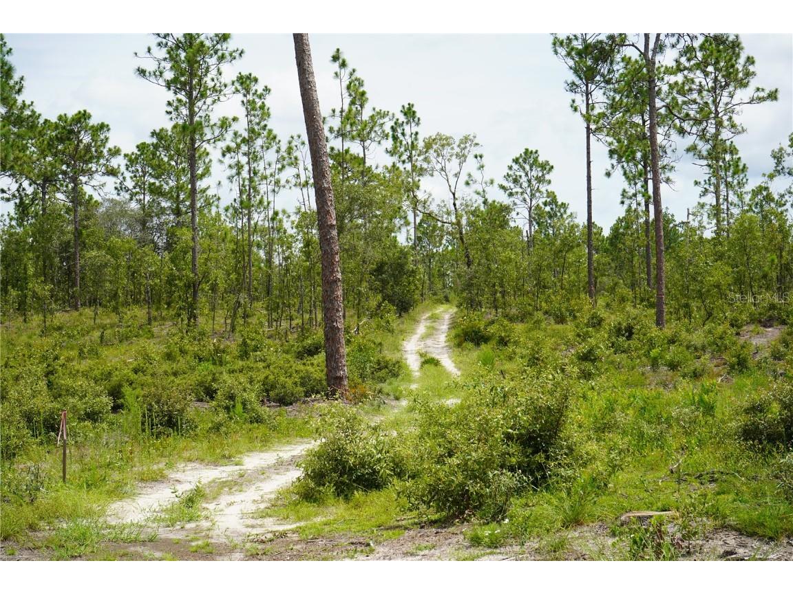 SE State Road 121 Lot D Morriston FL 32668 OM695502 image23