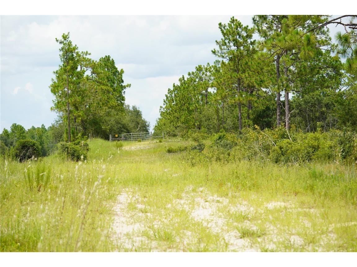 SE State Road 121 Lot D Morriston FL 32668 OM695502 image3