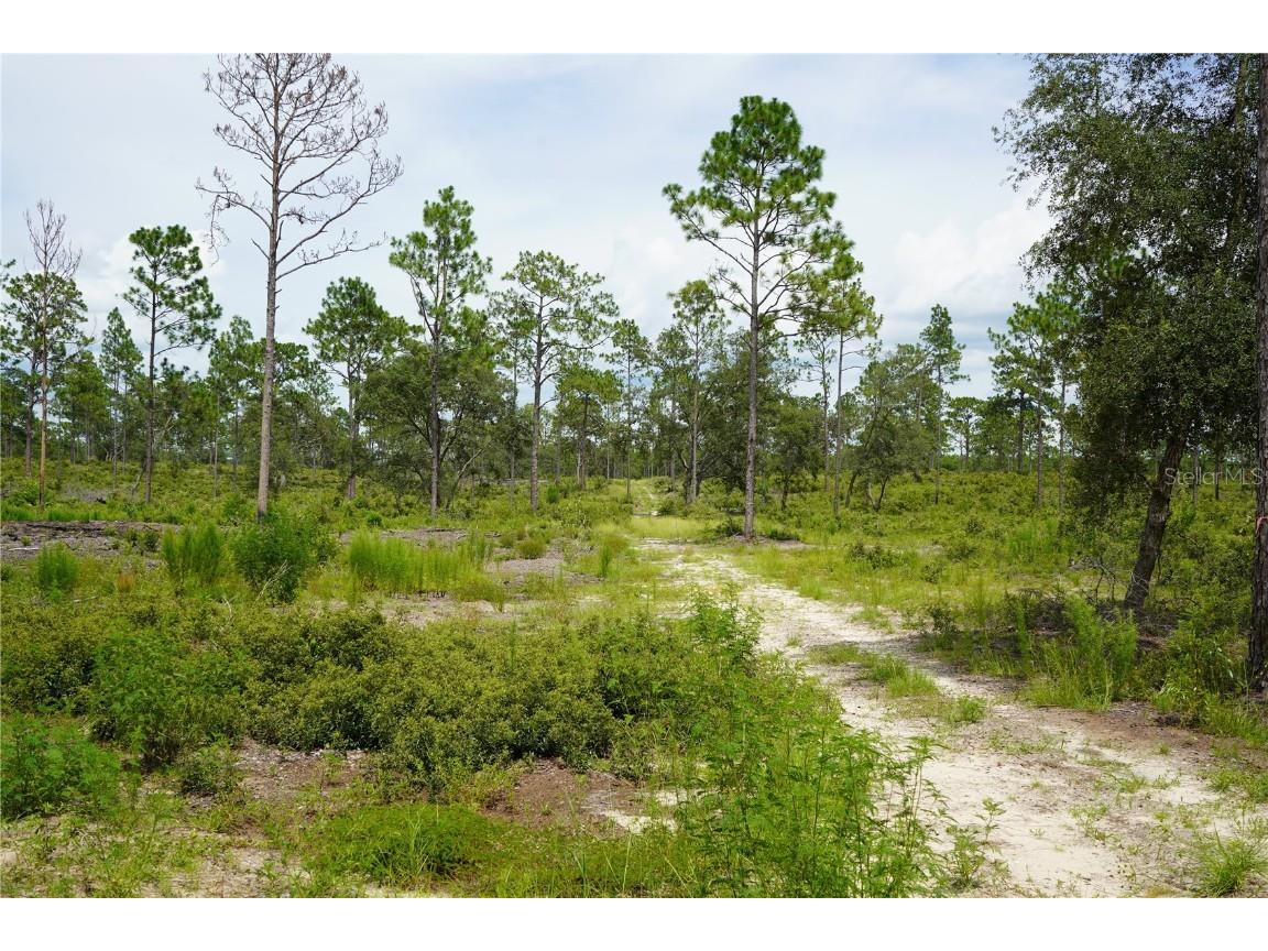 SE State Road 121 Lot D Morriston FL 32668 OM695502 image8
