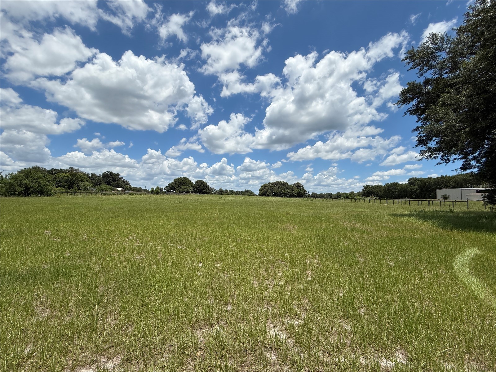 SE Sunset Harbor Road Weirsdale FL 32195 OM724719 image14