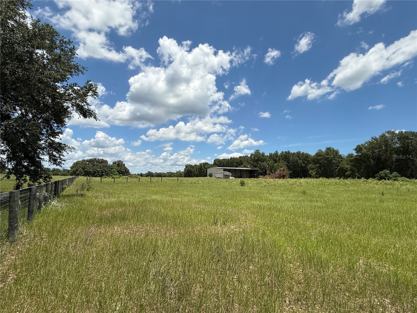 SE Sunset Harbor Road Weirsdale FL 32195 OM724719 image15