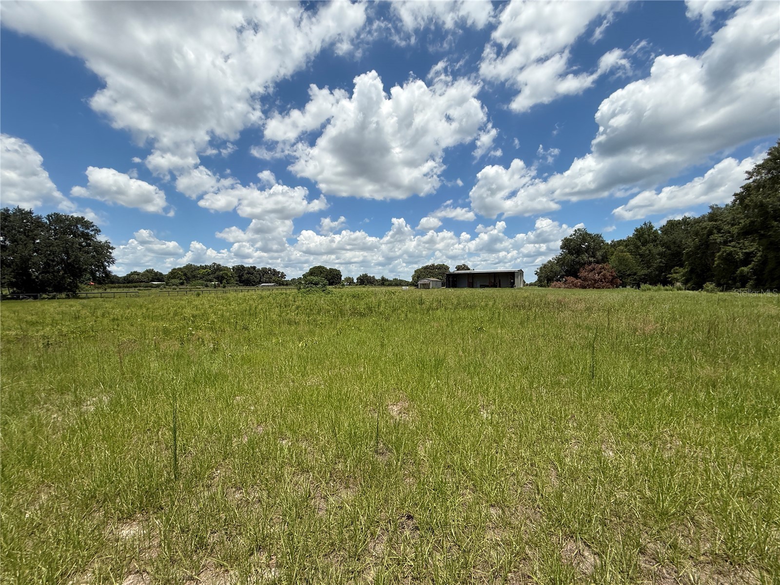 SE Sunset Harbor Road Weirsdale FL 32195 OM724719 image16