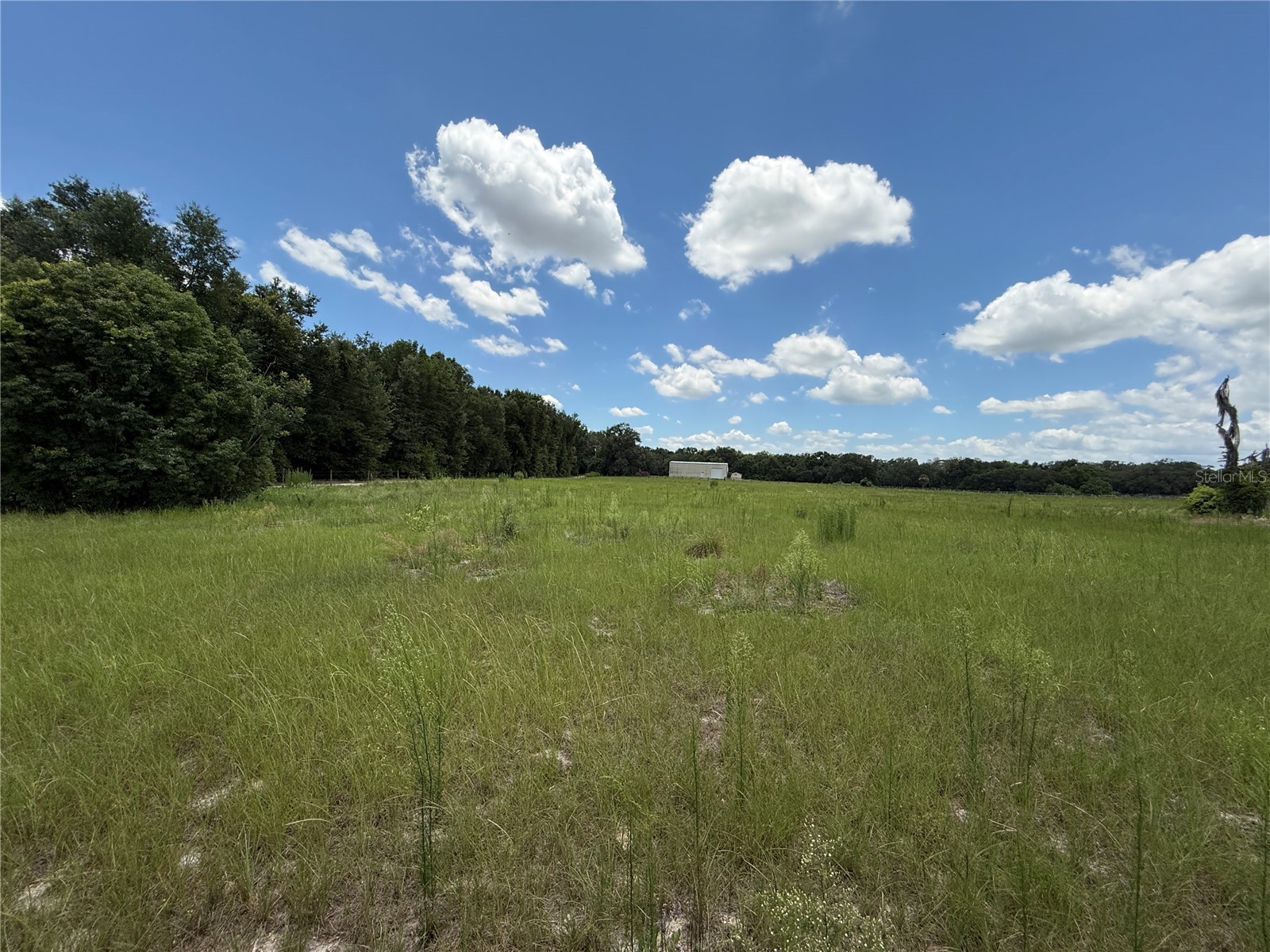 SE Sunset Harbor Road Weirsdale FL 32195 OM724719 image17