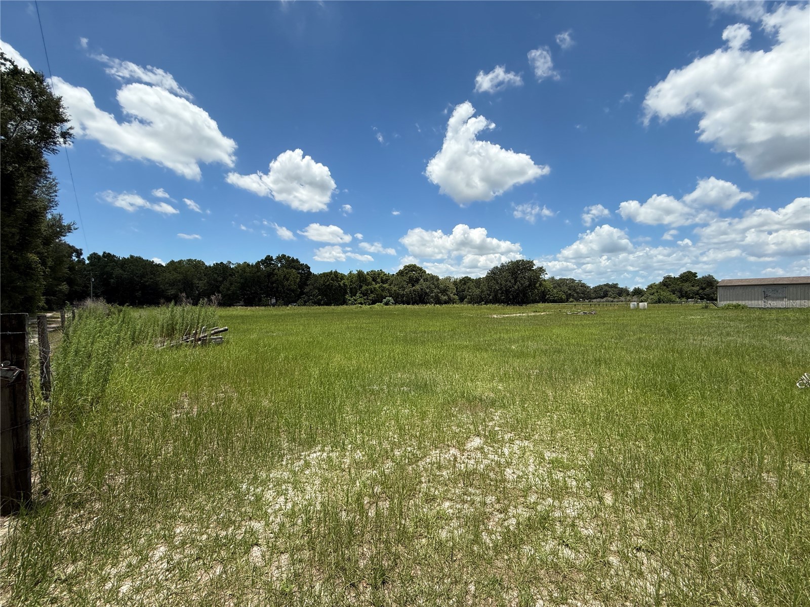 SE Sunset Harbor Road Weirsdale FL 32195 OM724719 image18