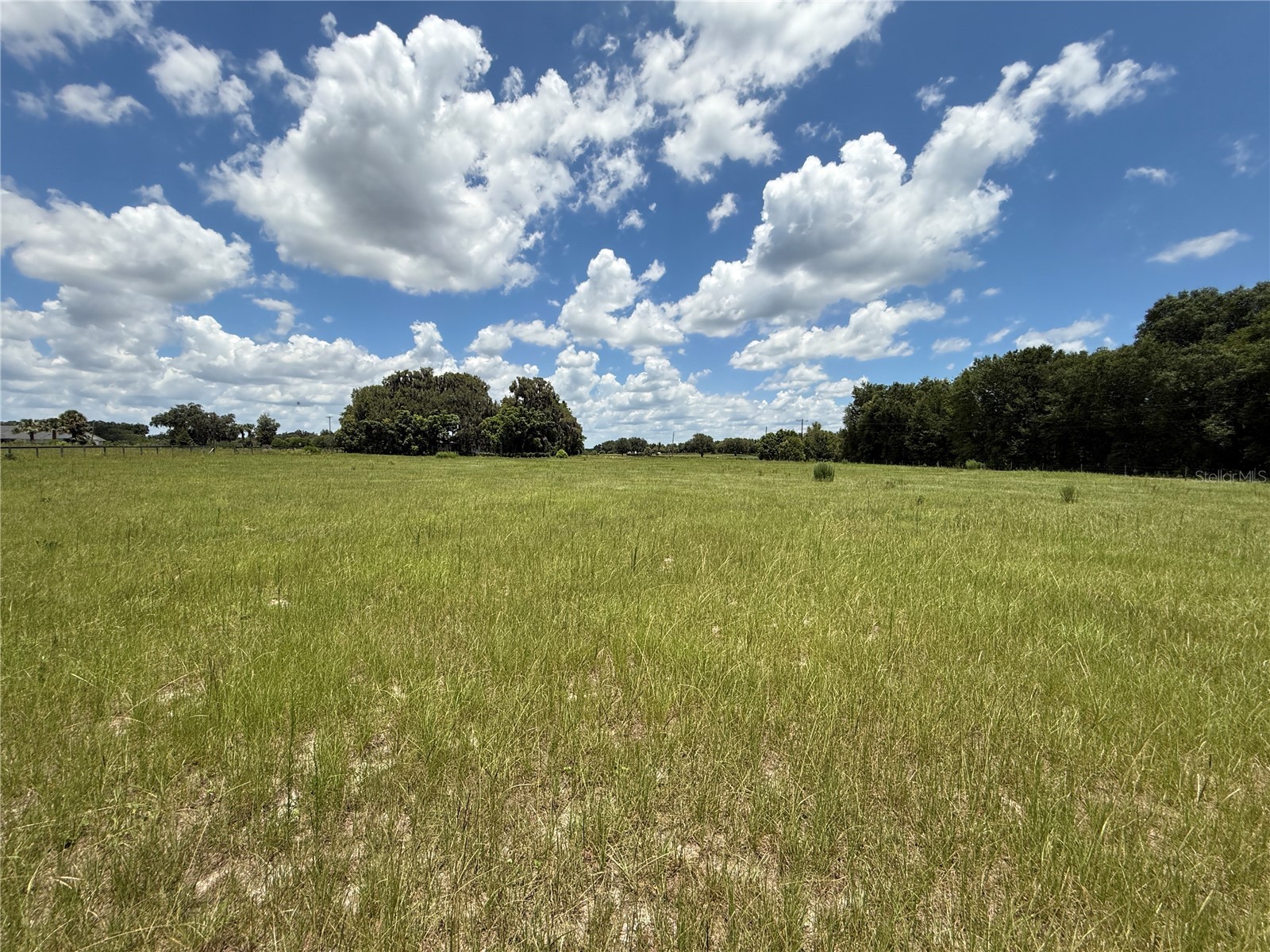 SE Sunset Harbor Road Weirsdale FL 32195 OM724719 image20
