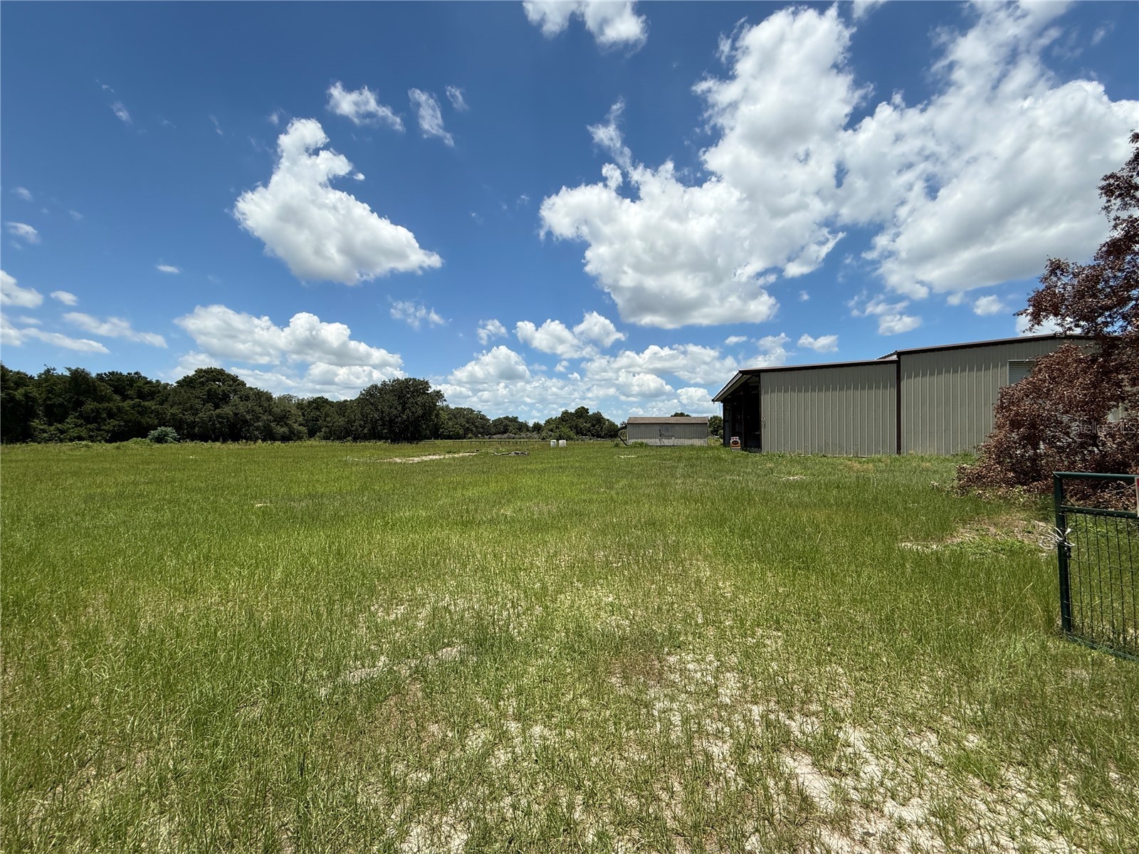 SE Sunset Harbor Road Weirsdale FL 32195 OM724719 image23