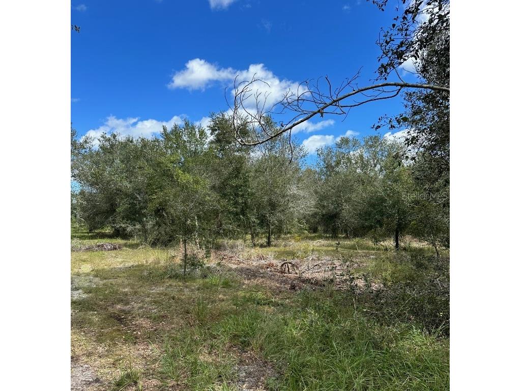 SE Tomlin #3 Drive Arcadia FL 34266 C7486075 image2