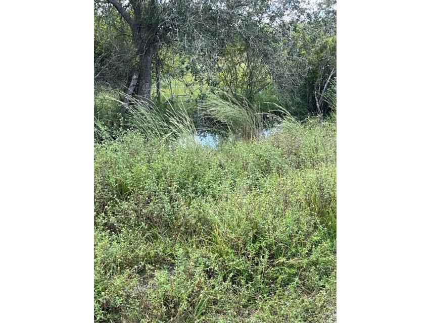 SE Tomlin #3 Drive Arcadia FL 34266 C7486075 image3