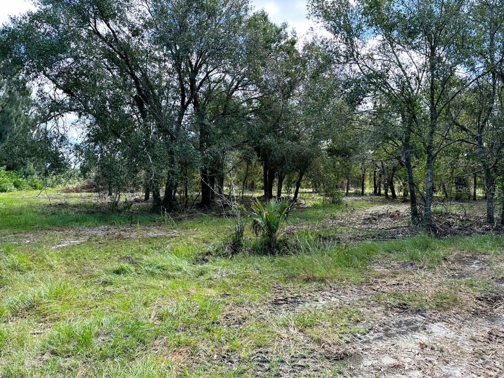 SE Tomlin #3 Drive Arcadia FL 34266 C7486075 image4