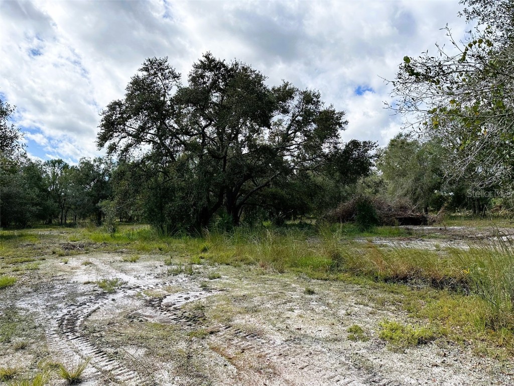 SE Tomlin #2 Drive Arcadia FL 34266 C7486072 image2