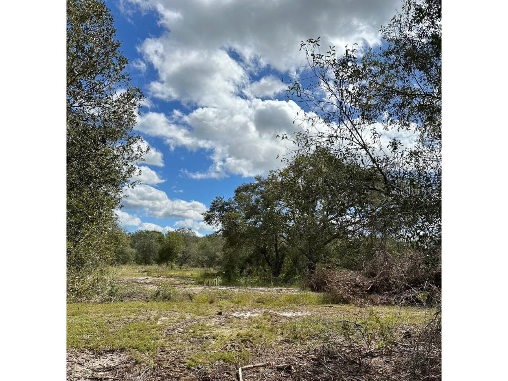 SE Tomlin #2 Drive Arcadia FL 34266 C7486072 image3