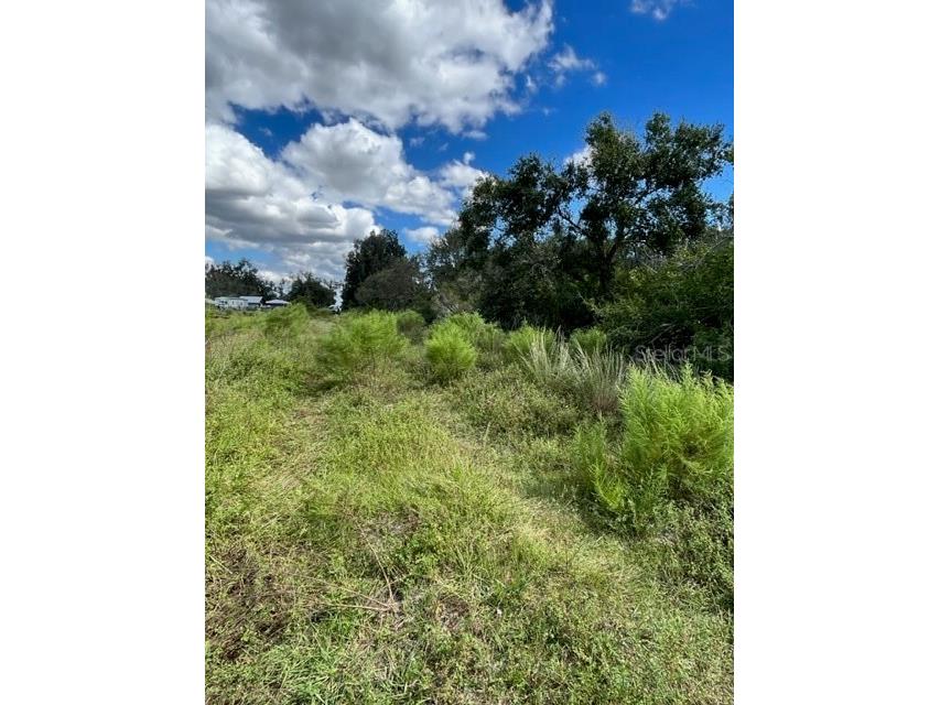 SE Tomlin #2 Drive Arcadia FL 34266 C7486072 image5