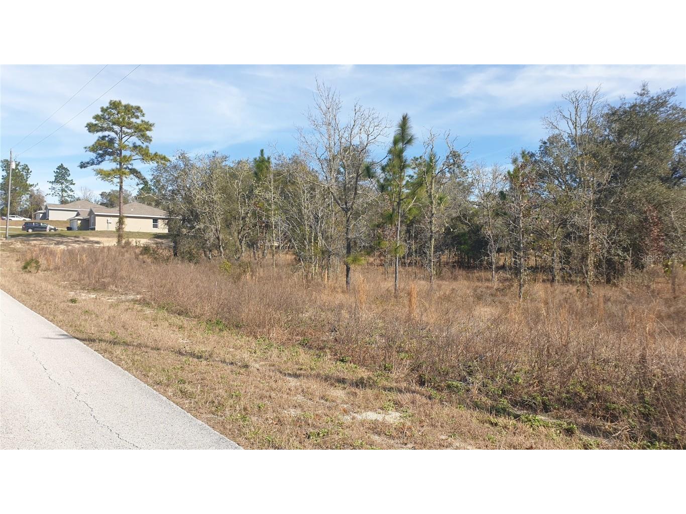 SE Viburnum Road Dunnellon FL 34431 A4598550 image1